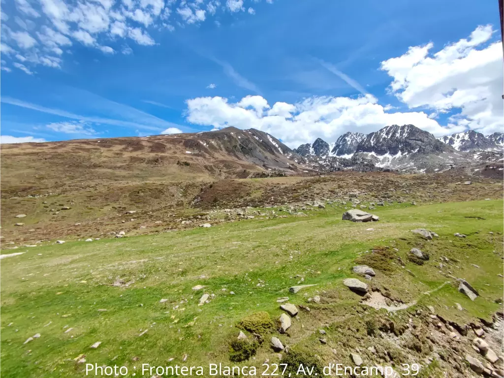 Benvinguts a aquest ampli i lluminós estudi, totalment reformat amb cura per oferir-vos una estada còmoda i relaxant a la muntanya.Com tots els apartaments que tenim en aquesta residència, disposa d’un gran balcó des d’on podreu gaudir d’unes vistes magnífiques a les muntanyes — ideal per prendre un cafè al matí o veure la posta de sol.L’allotjament pot acollir fins a 4 persones, gràcies al seu racó amb lliteres i al seu espai principal acollidor.Està completament equipat perquè us hi sentiu com a casa: rentavaixelles, rentadora, cuina totalment equipada i lavabo independent per a més comoditat.Un lloc ideal per a unes vacances en família, amb amics o en parella, envoltat de natura i tranquil·litat.