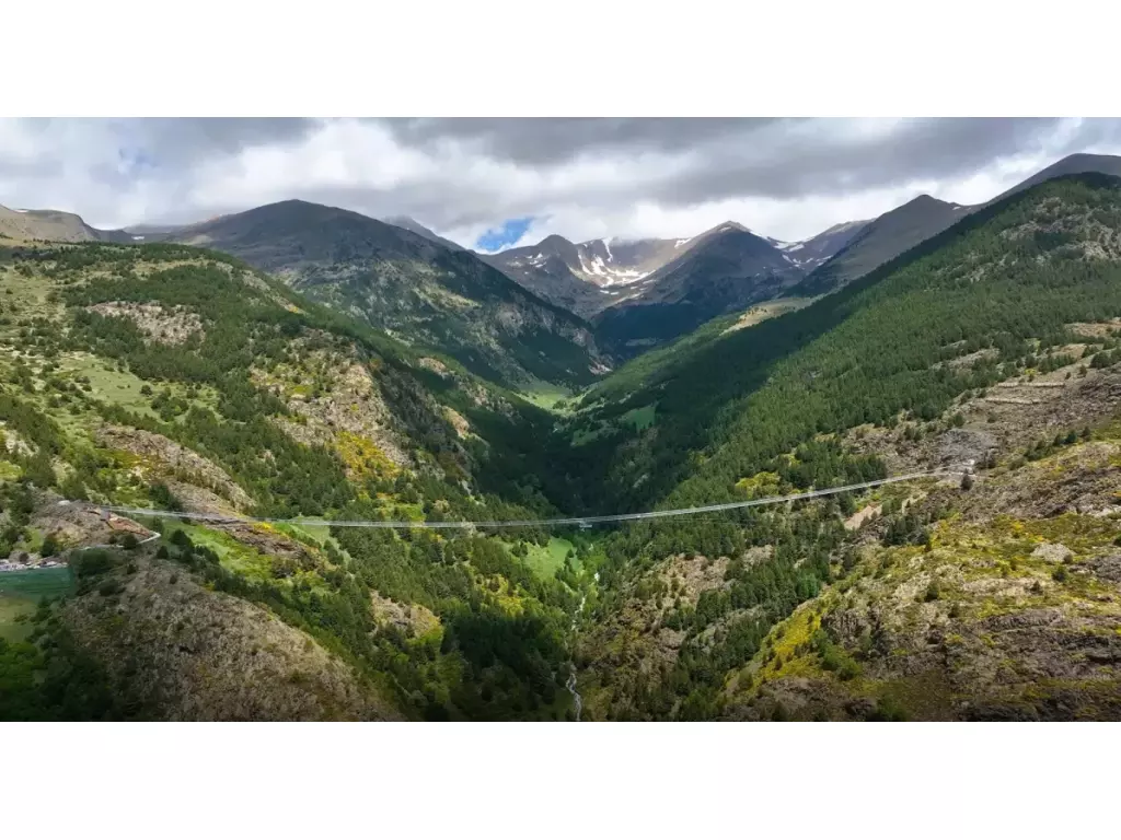 Stage reconnexion à la nature